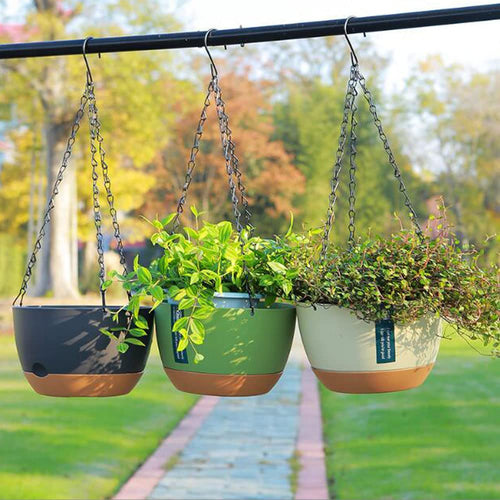 3 Pack 8 Inch Hanging Planter Planters for Indoor Plants Plant Hanger Wall and Outdoor Flower Pot with Visible Self-Watering Holder Pot Drainage Holes Removable Saucer Garden Home