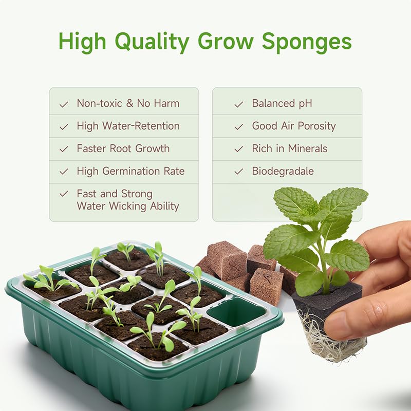 SIETAMIS 50 Packs Cuttage Grow Sponges, Pods Root Growth Sponge Eco Friendly PH Balance, Square Sponge Replacement Part Seedling Starter Sponges for Hydroponic Indoor Garden System Cuttage Rooting