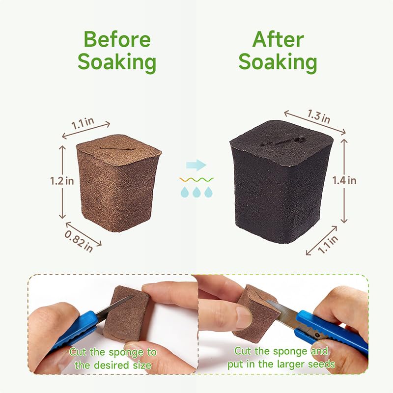 SIETAMIS 50 Packs Cuttage Grow Sponges, Pods Root Growth Sponge Eco Friendly PH Balance, Square Sponge Replacement Part Seedling Starter Sponges for Hydroponic Indoor Garden System Cuttage Rooting