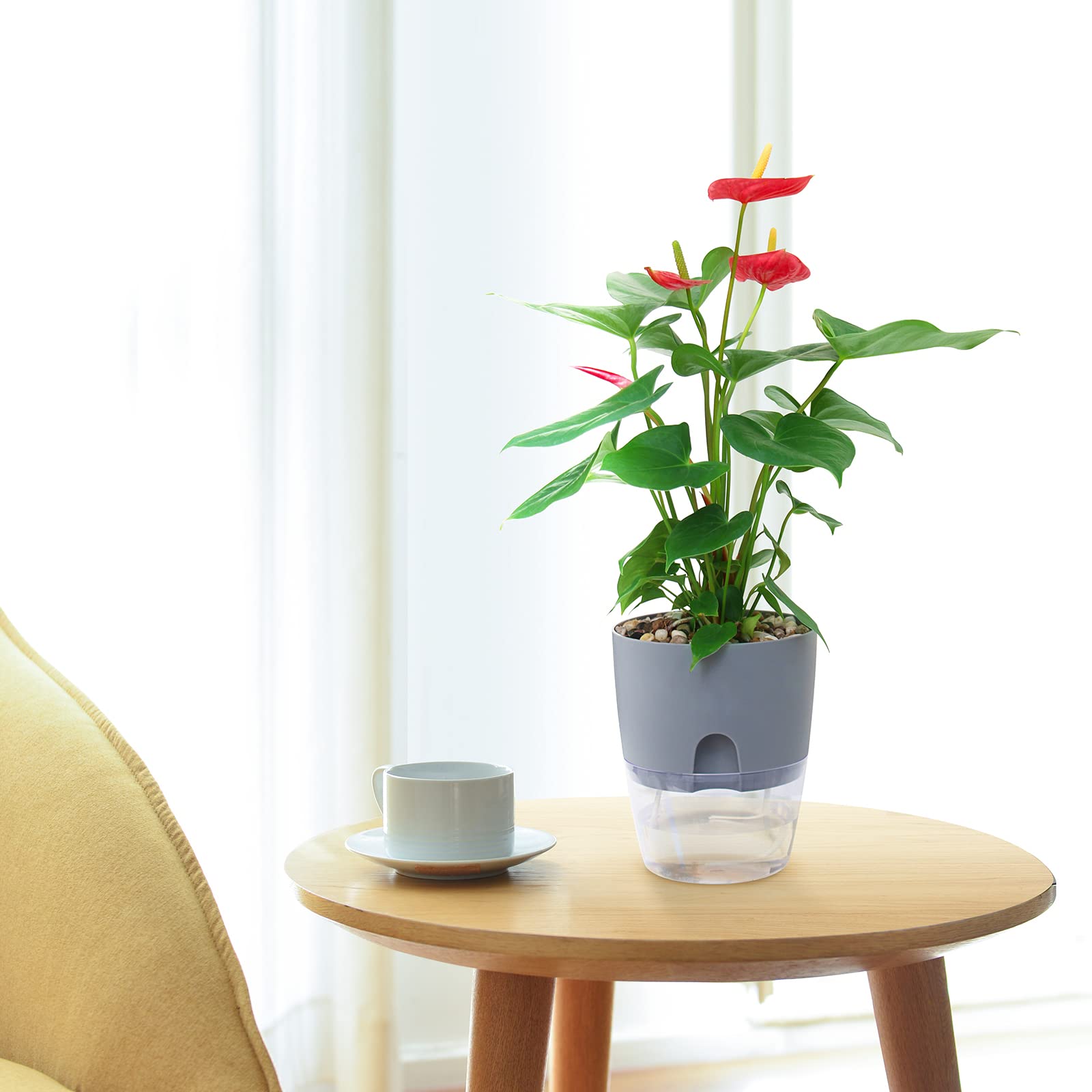 Self Watering Planters for Indoor Plants, 3 Pack 6 Inch African Violet Pots, Modern Decorative Flower Pots with Transparent Water Reservoir, Perfect for Indoor House Plants, Flowers (White)