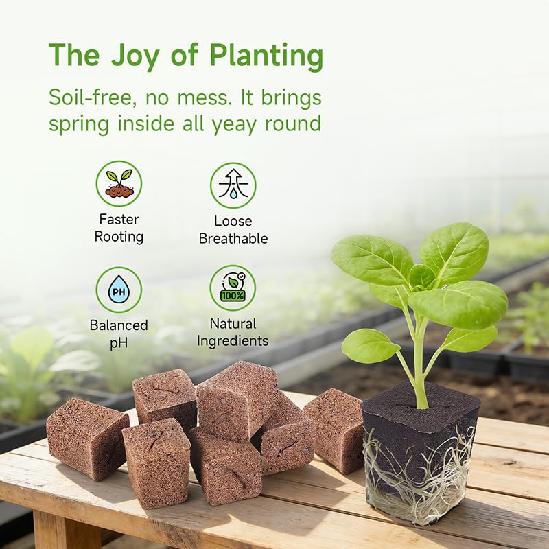 SIETAMIS 50 Packs Cuttage Grow Sponges, Pods Root Growth Sponge Eco Friendly PH Balance, Square Sponge Replacement Part Seedling Starter Sponges for Hydroponic Indoor Garden System Cuttage Rooting