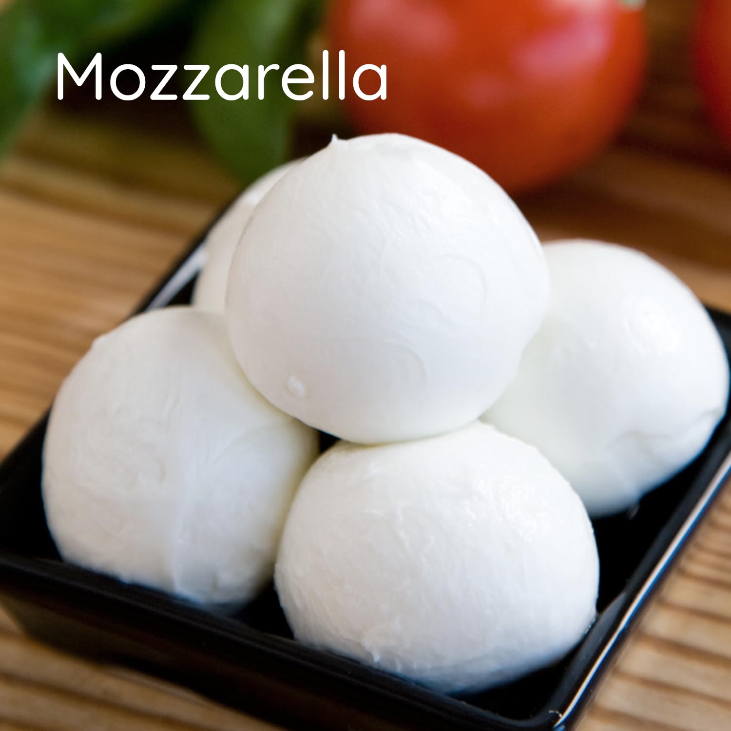 Cheese Making Kit, 2 Italian Cheeses Beginners' Kit: Ricotta and Mozzarella DIY Cheese Maker, Recipes, Vegetarian Rennet, Cheesecloth. Easy DIY Homemade Cheese Gift Set