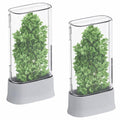 vacane Herb Keeper for Refrigerator, Fresh Herb Saver Herb Storage Containers, Cilantro Container for Fridge Asparagus Container, Dishwasher Safe-2 Pack