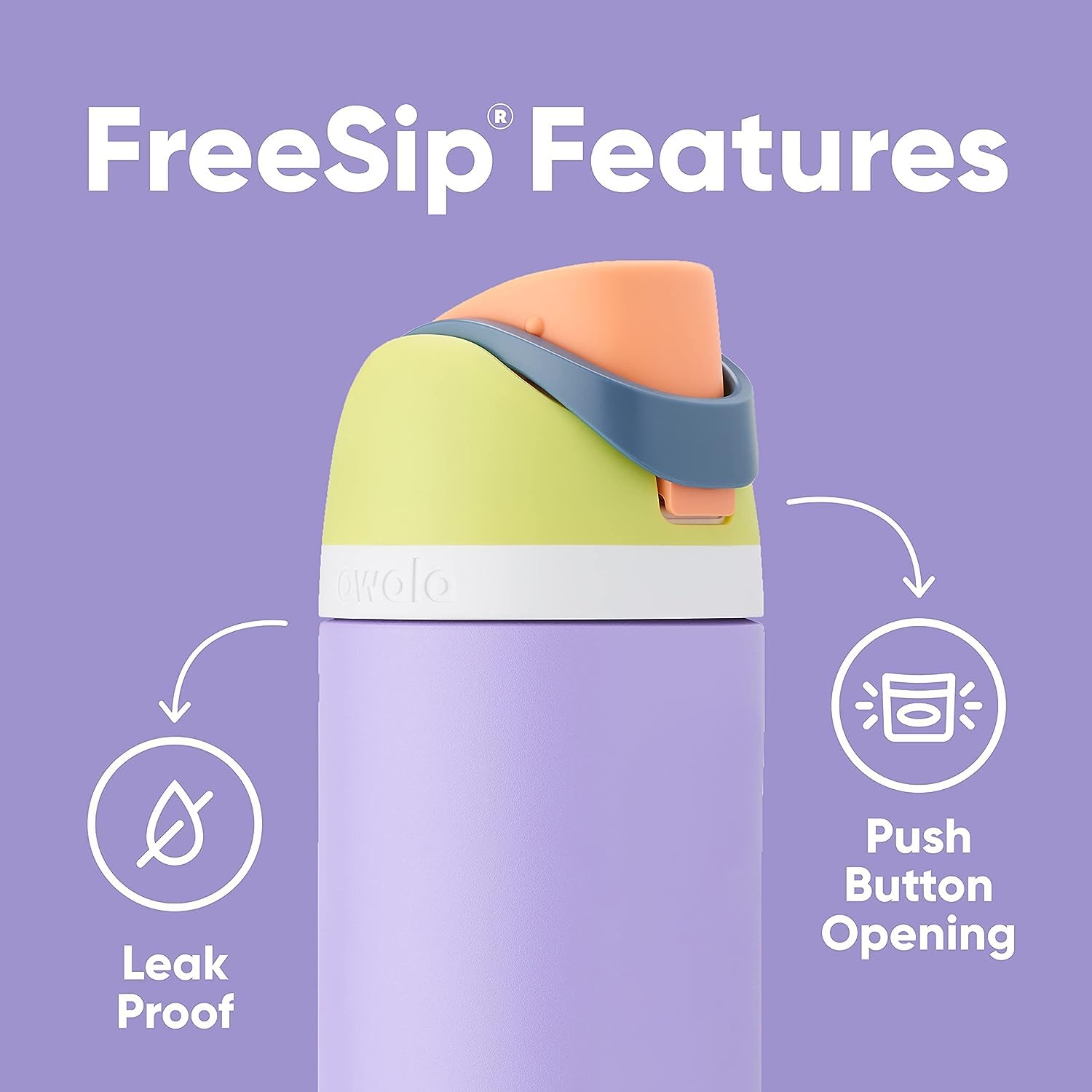 Owala FreeSip Insulated Stainless Steel Water Bottle with Straw for Sports and Travel, BPA-Free, 24-oz, Water in the Desert