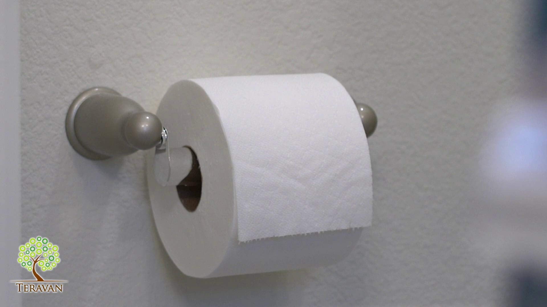 Teravan Standard Toilet Paper Holder Extender for Extra-Large Rolls – Perfect for Double, Triple Rolls in Regular or Ceramic Bathroom Wall Holders, Silver, Set of 2