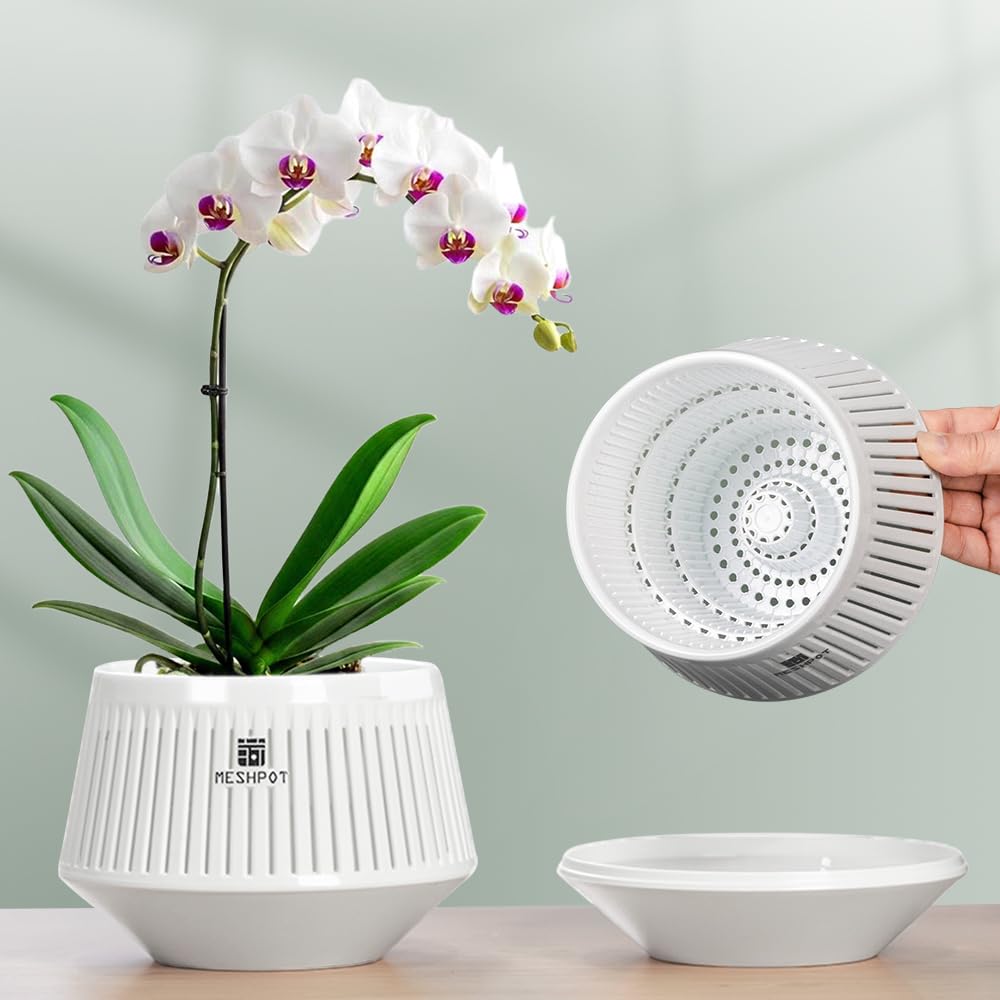 Meshpot 5 inch Orchid Pots with Holes for Repotting,Set of 1,Decorative Orchid Planter with Air-Pruning and Good Air Circulation,Plastic White Orchid Container with Saucers