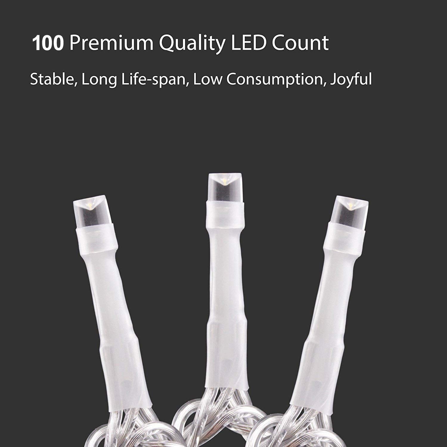 EShing LED String Lights Dimmable, USB Powered 100 Warm White LED Fairy Lights on 33ft Clear Cable, Twinkle Lights with Remote Timer for Indoor Outdoor Wedding Party Patio Backyard Room Decor