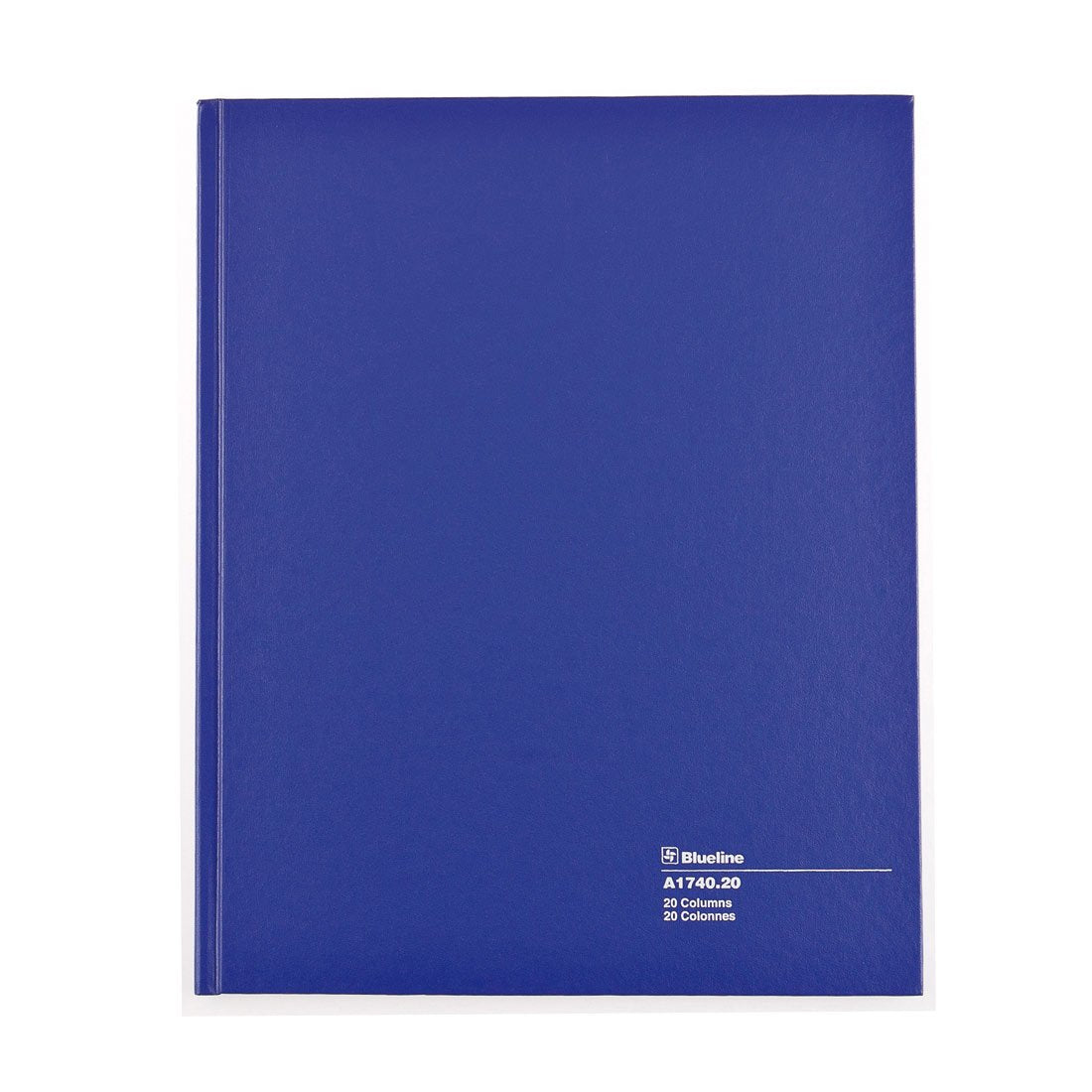Blueline Columnar Book, Perfect Binding, 20 Columns with Description, 80 Pages, 12-1/4" x 9-7/8", Blue (A1740.20)
