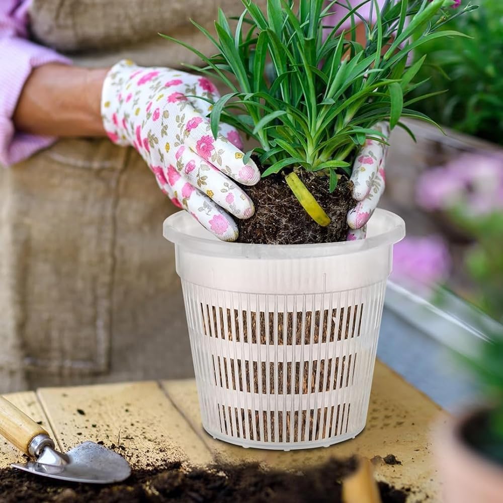 6 Pcs 5.5 Inch Orchid Pot with Holes and Saucers for Repotting Clear Plastic Flower Plant Indoor Outdoor Plants Orchids Planter Root Health Pots Nursery Drainage (6, 14 * 12cm)