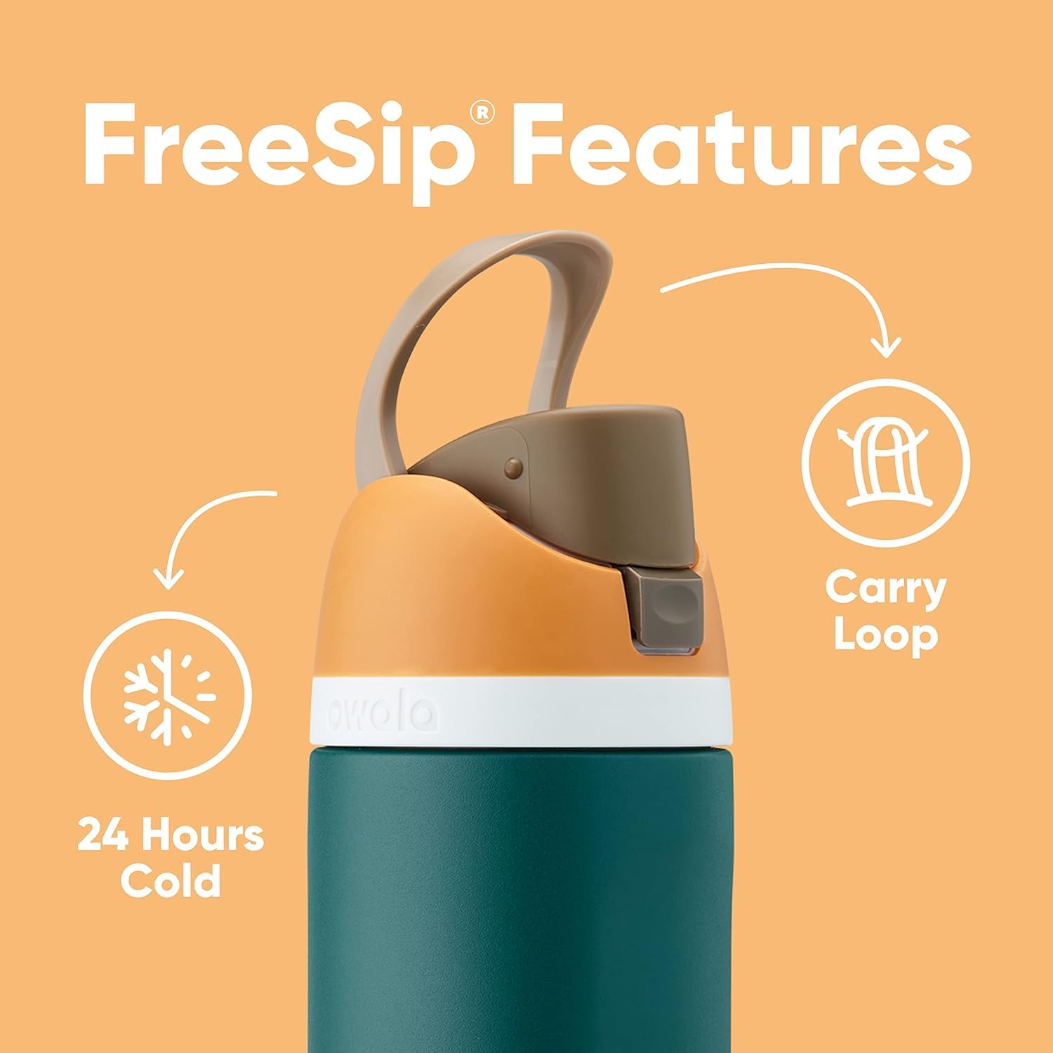 Owala FreeSip Insulated Stainless Steel Water Bottle with Straw for Sports and Travel, BPA-Free, 24-oz, Water in the Desert