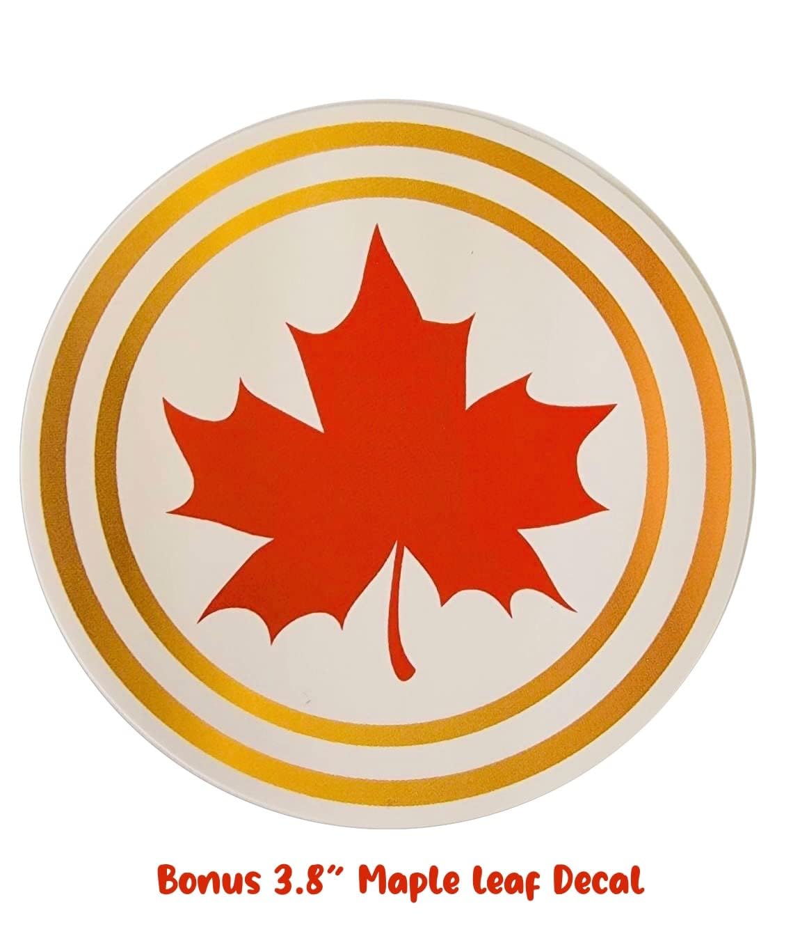 Oracal 651 Vinyl (12" x 10ft) Roll of Glossy White Permanent vinyl works with Cameo, Cricut and Silhouette - Bonus 1 3.8" Maple Leaf Permanent Decal