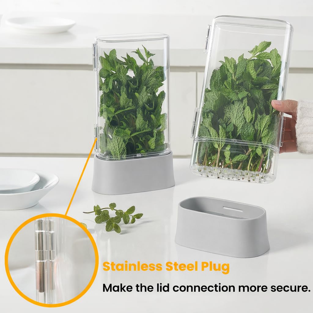 vacane Herb Keeper for Refrigerator, Fresh Herb Saver Herb Storage Containers, Cilantro Container for Fridge Asparagus Container, Dishwasher Safe-2 Pack