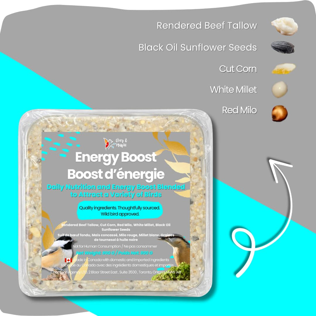 Chirp & Maple, Energy Boost, High-Energy Suet for Wild Birds, Wild Bird Food (3-Pack) 900G