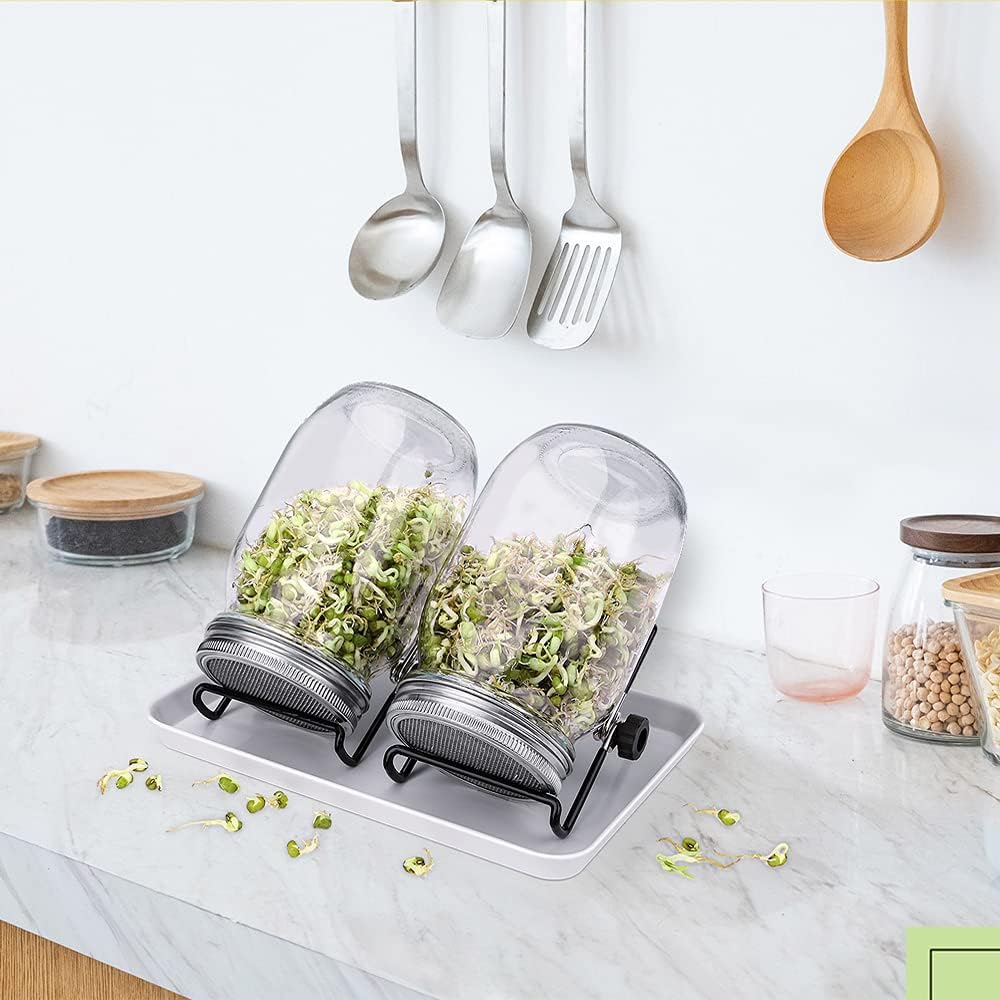 CAVLA 4 Pcs Sprouting Jar Lids with 4 Pcs Sprouting Brackets, Stainless Steel Mason Jar Lids Bean Sprout Making Tool, Germination Filter Lid Sprouting Stands Kit for Seeds Beans Cultivation