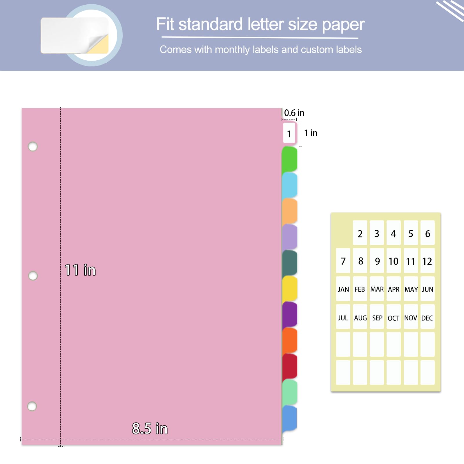 XHSHENG 12-Tab Dividers for 3 Ring Binder,Plastic Biner Dividers with Tab, Monthly Divider Sets, 12 Tabs, Jan-Dec,File tabs,Multicolor,3 Sets