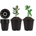 Nursery Pots 50 PCS 6Inch Plastic Plant Pot Flower Seed Starter Pots for Seedling Nursery Supplies Grow Pot Planter Flower Pot Container for Succulents Seedlings Transplanting (Black 6Inch)