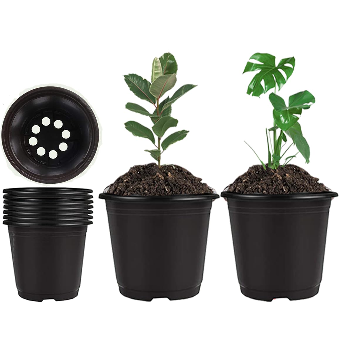 Nursery Pots 50 PCS 6Inch Plastic Plant Pot Flower Seed Starter Pots for Seedling Nursery Supplies Grow Pot Planter Flower Pot Container for Succulents Seedlings Transplanting (Black 6Inch)