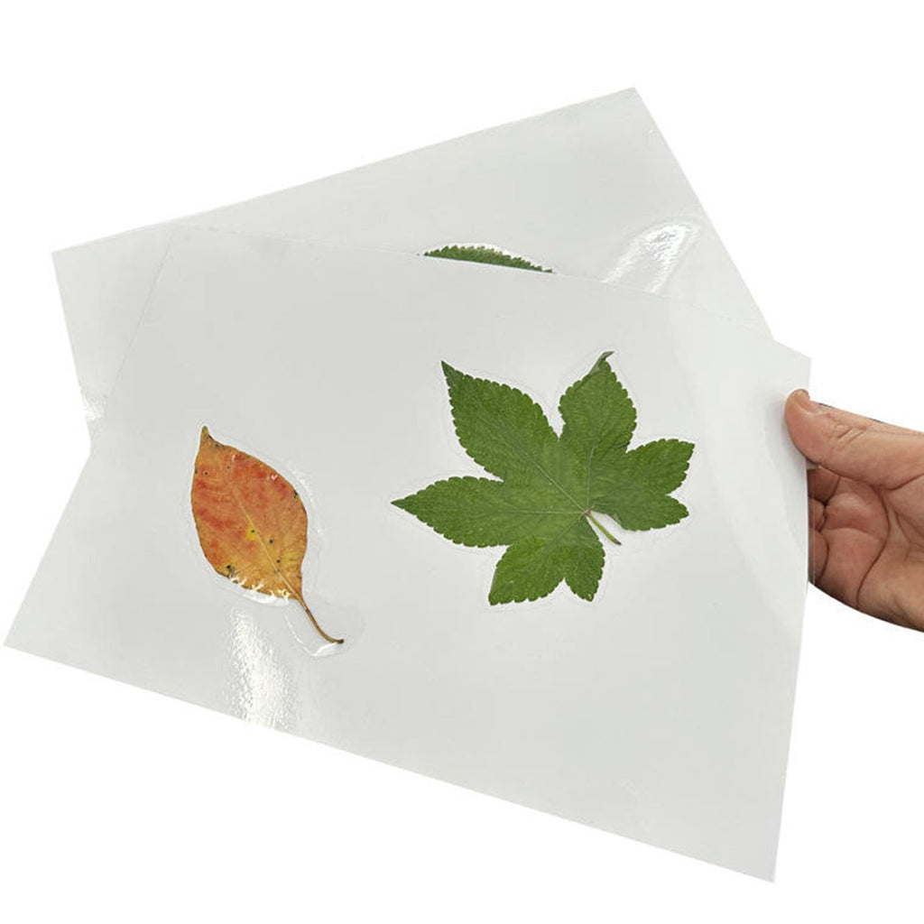 Coopaty Thermal Laminating Pouches, 5mil, 100-Pack, 8.9 x 11.4 Inches, Letter Size Sheets