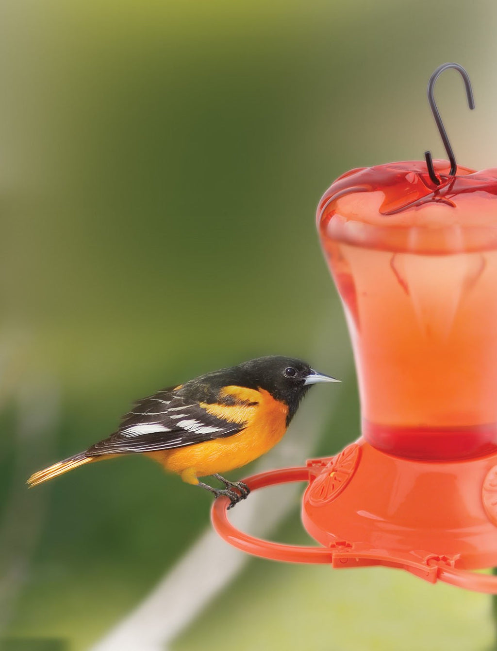 Stokes Select Oriole Bird Feeder with Three Feeding Ports, Orange, 34 fl oz Capacity