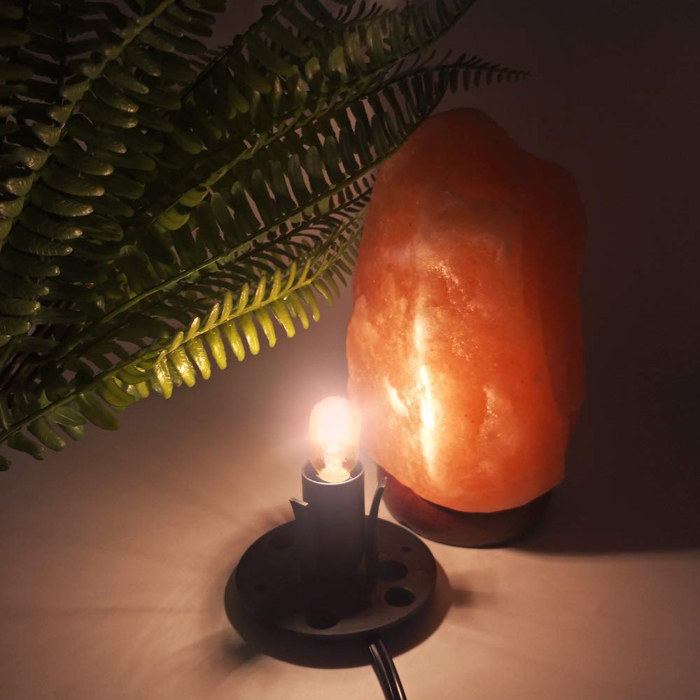 Haraqi Himalayan Salt Lamp Cords(6 Ft/1.8 M) and Bulbs with Dimmer Switch,Original Replacement Cords with Base Assembly (3.34 Inches) and 25 Watt E12 Bulbs for Salt Rock Lamp,2 Cords and 2 Bulbs