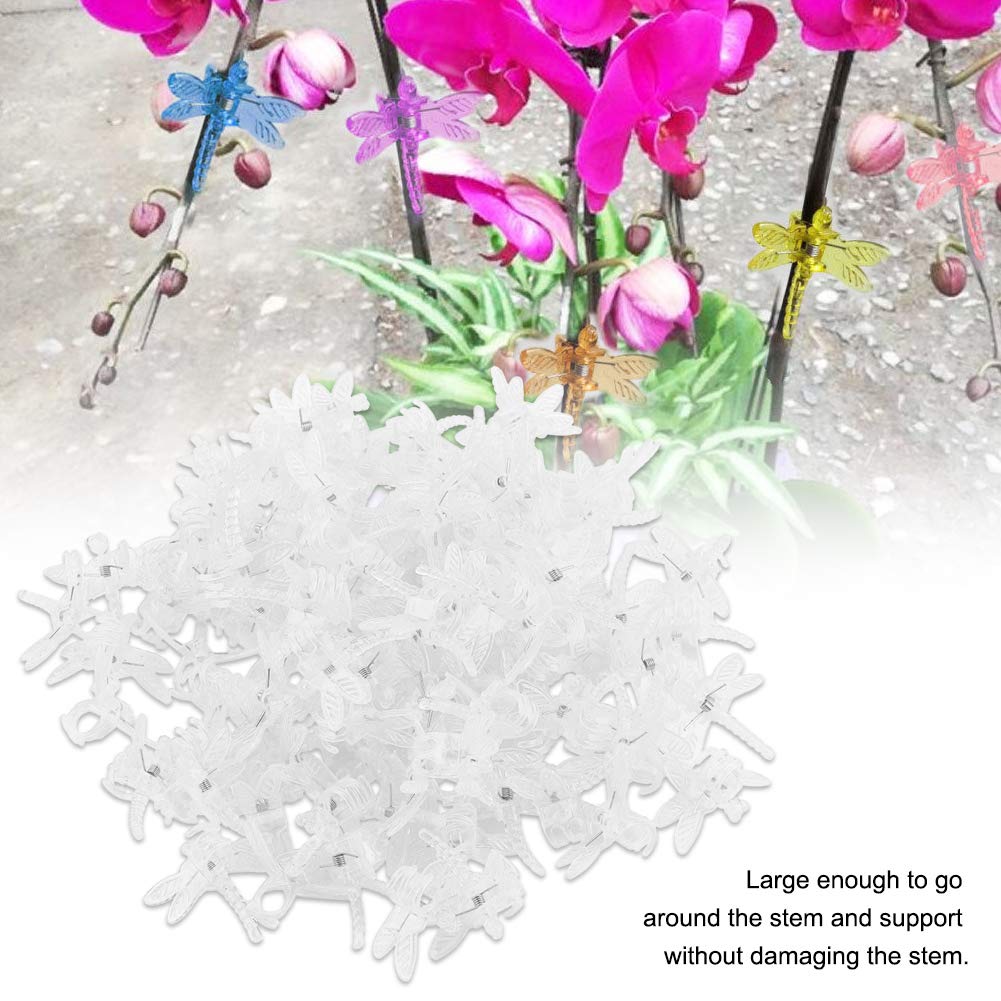 Watris Veiyi 100Pcs Plant Orchid Clips - Garden Plant Support, Dragonfly and Portable Cute Flower Vine Clips (Transparent)