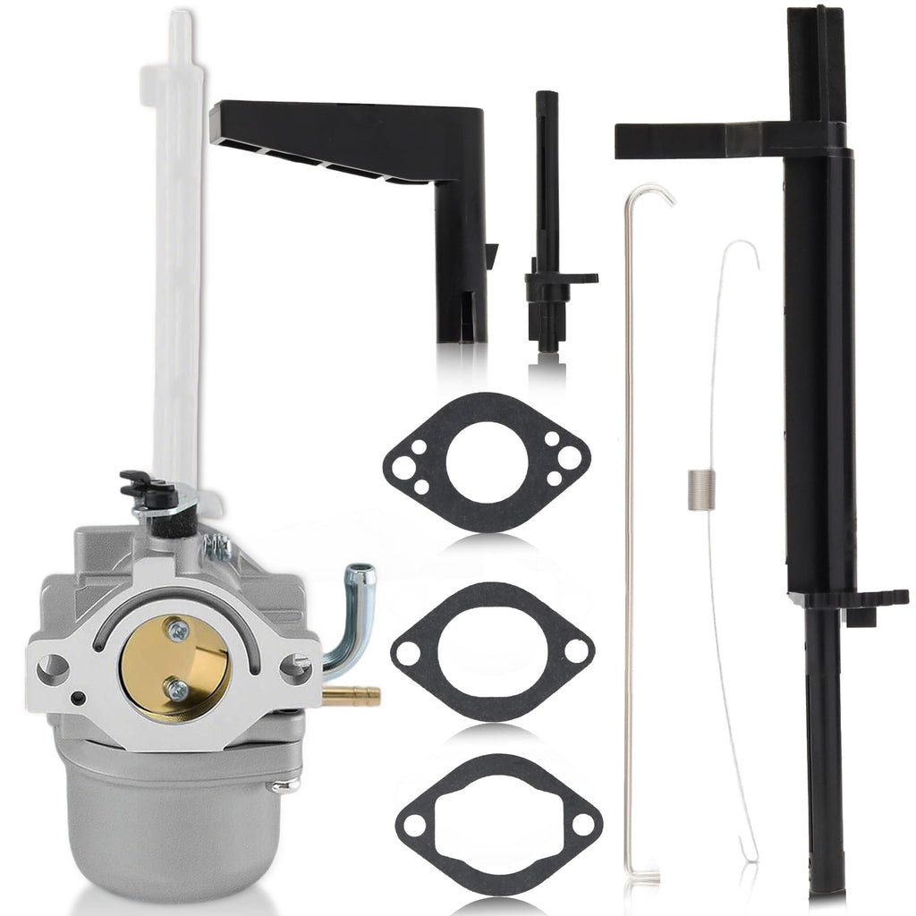 Carburetor fit for Briggs & Stratton Snowblower Replaces # 796122 794593 793161 696737 Compatible 20A114 20A414 20M114 20M107 Engines