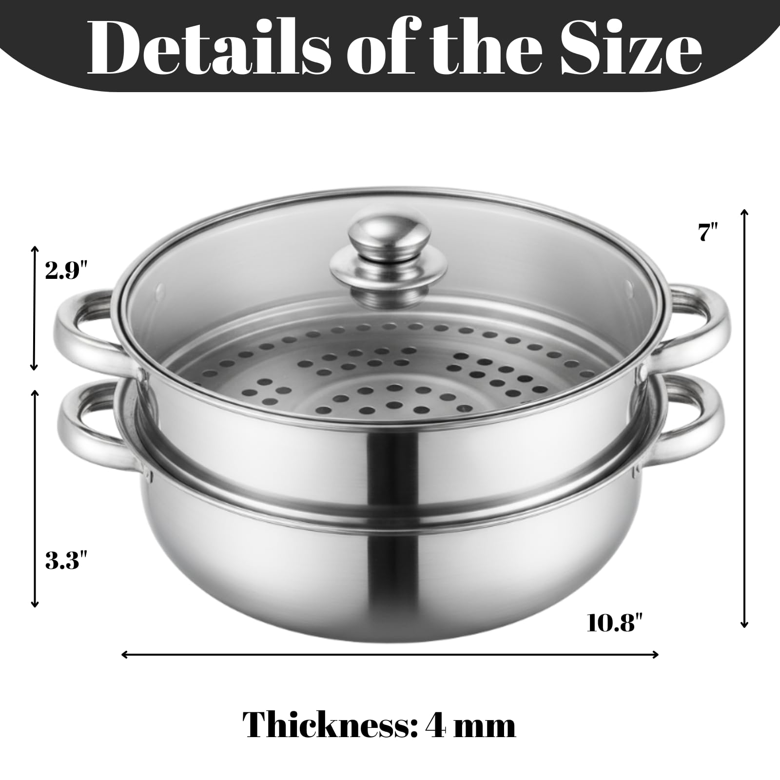 ZENFUN Steamer Pot With Lid 2 Tier, Multipurpose Stainless Steel Steaming Pot, Steam Pots With Handle For Vegetable, Dumpling, Food, 11 Inch（Thickened）