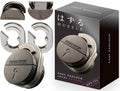 Hanayama Cast Metal Puzzle Padlock