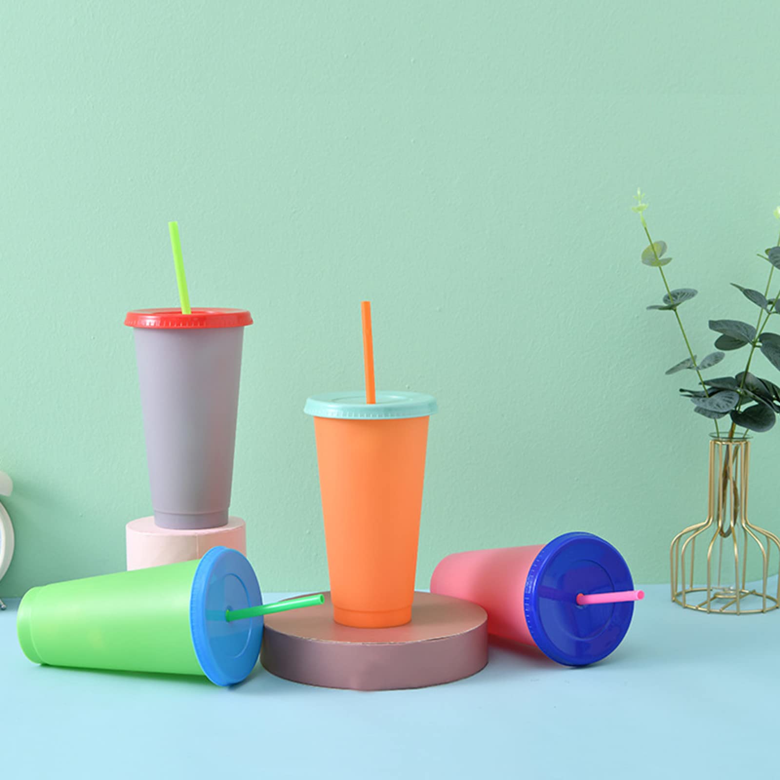 Lyellfe 10 Pack Color Changing Cups, 24 oz Leak-proof Water Tumblers with Lids and Straws, Plastic Cold Drink Summer Cups in Multicolors, Ideal for Adults Women Party