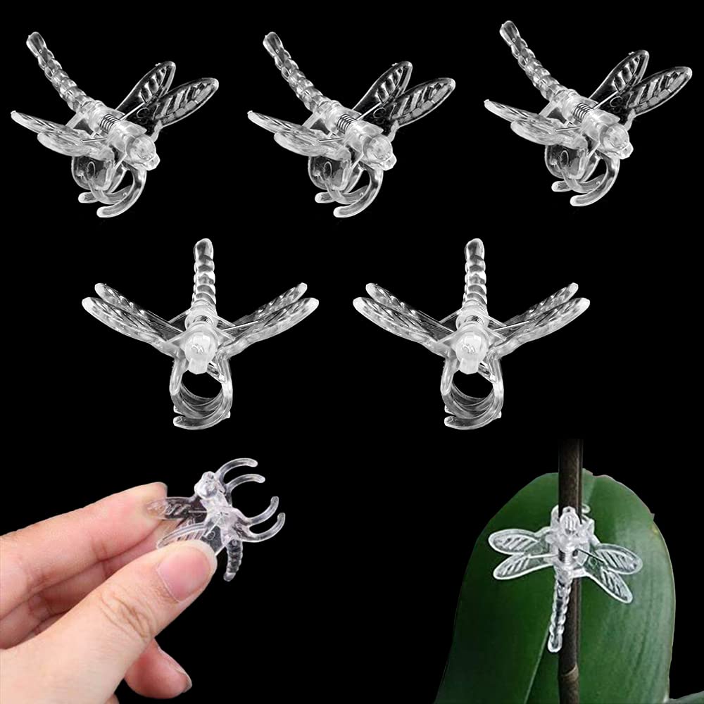 Watris Veiyi 100Pcs Plant Orchid Clips - Garden Plant Support, Dragonfly and Portable Cute Flower Vine Clips (Transparent)