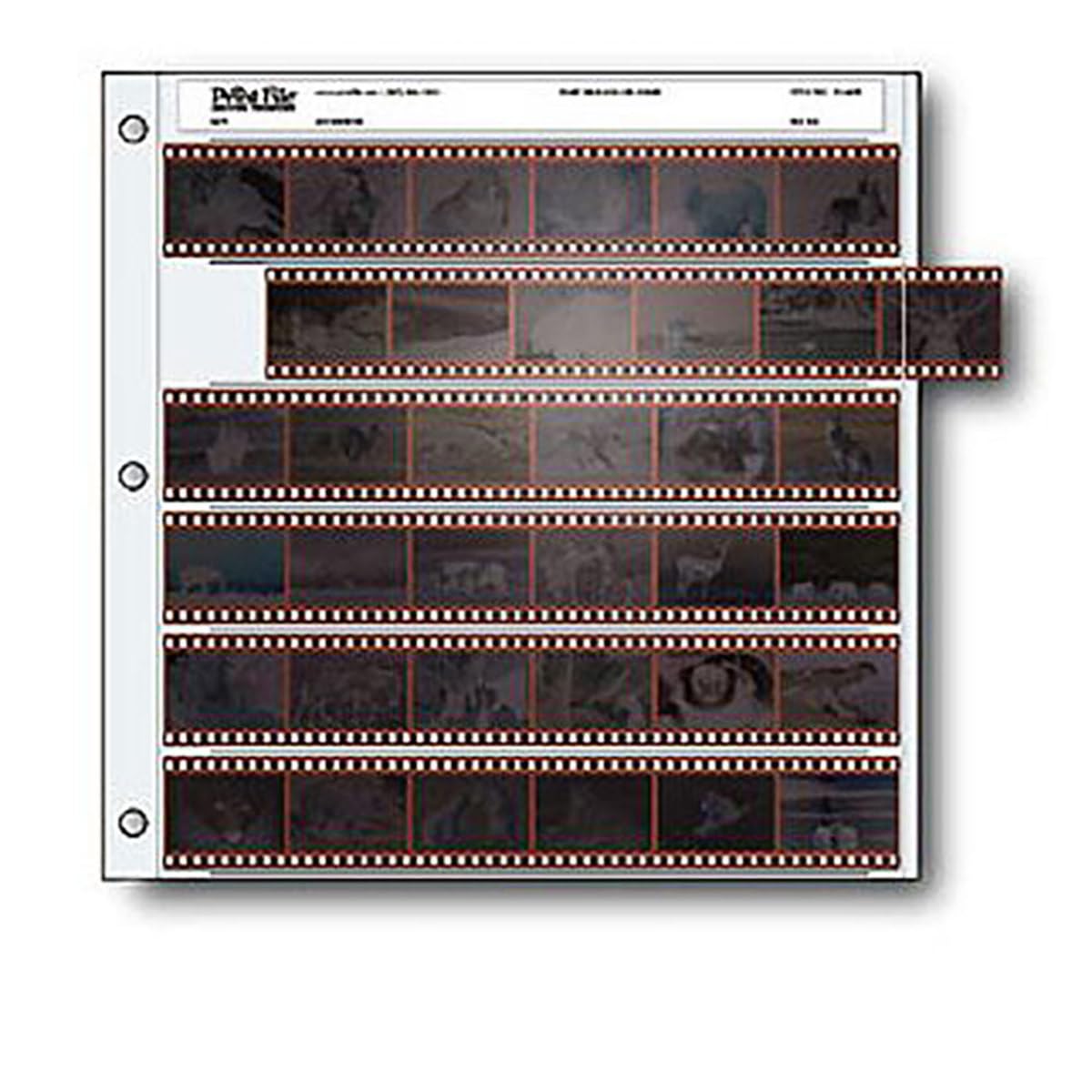 Archival 35mm Size Negative Pages Holds Six Strips of Six Frames, Pack of 25