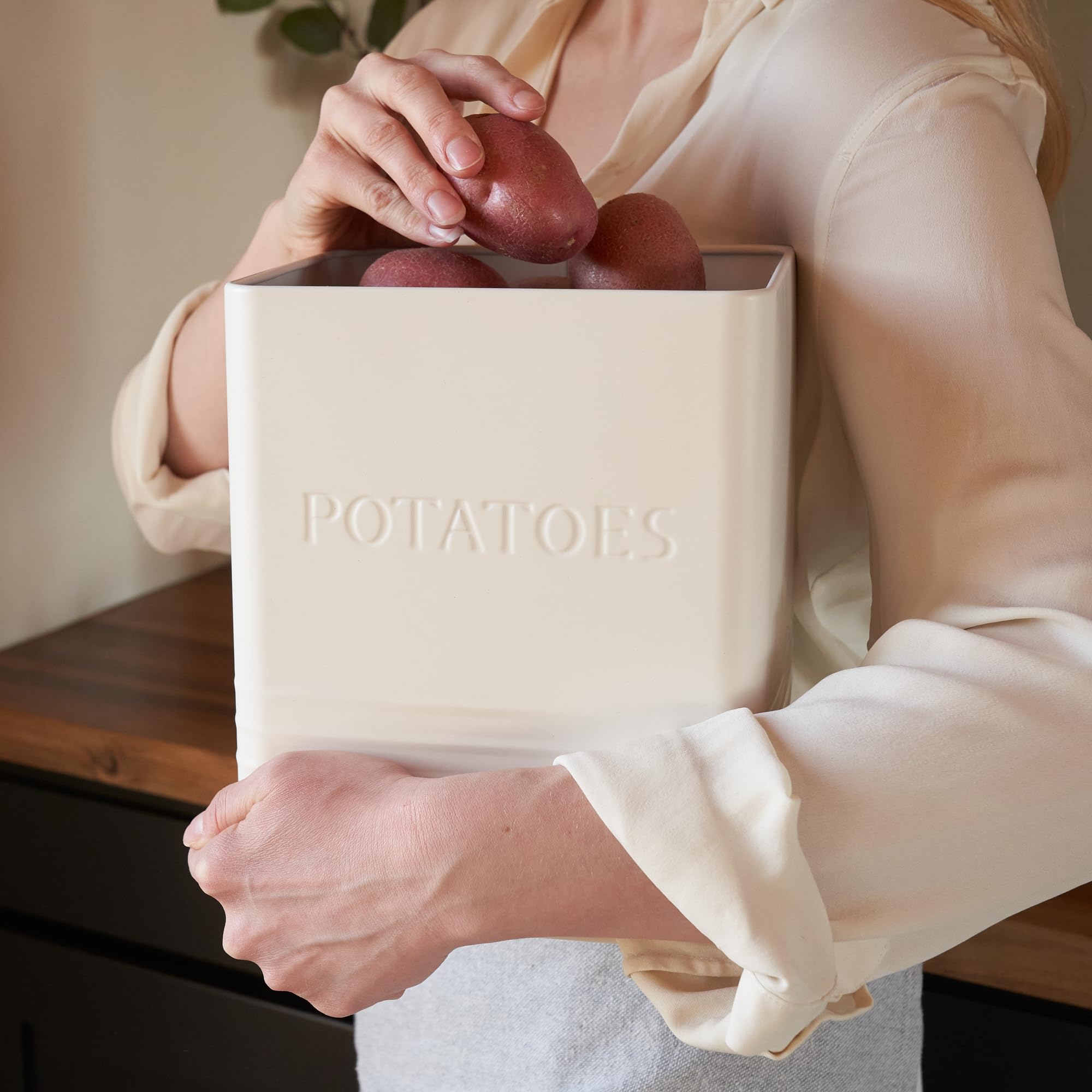 ZICOTO Beautiful Potato Storage Box Set of 2 For Kitchen Countertop - Perfect Storage Containers For Onion, Garlic, Vegetable - Food Safe Metal Holder Bin Set For Fruits