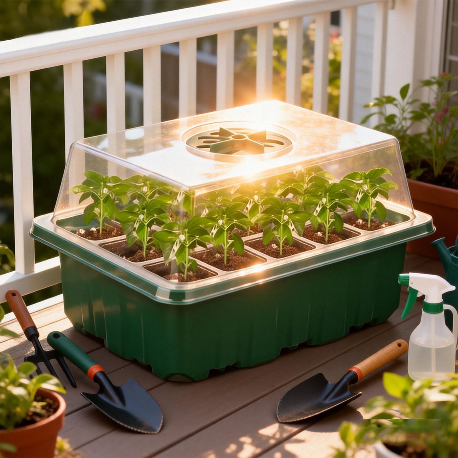 Seed Starter Trays, 10-Pack Plant Germination Trays Greenhouse Grow Kit with Humidity Vented Domes and Base for Seeds' Starting (Total 120 Cells)