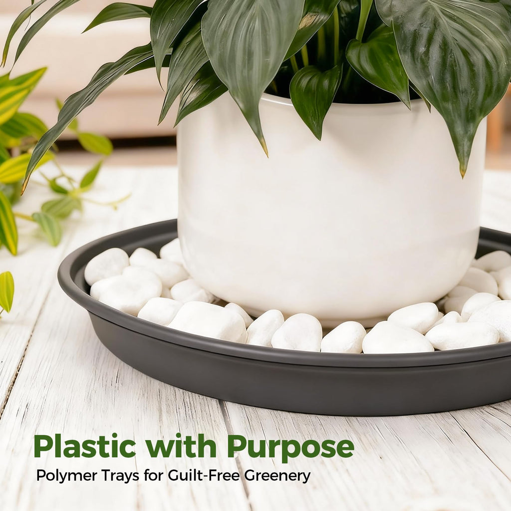 Bamworld 6 Pack Plant Saucers, 30cm (12 Inch) Round Plastic Plant Trays, Heavy Duty Leak Proof Saucers for Indoor Potted Plants, Black Drip Trays