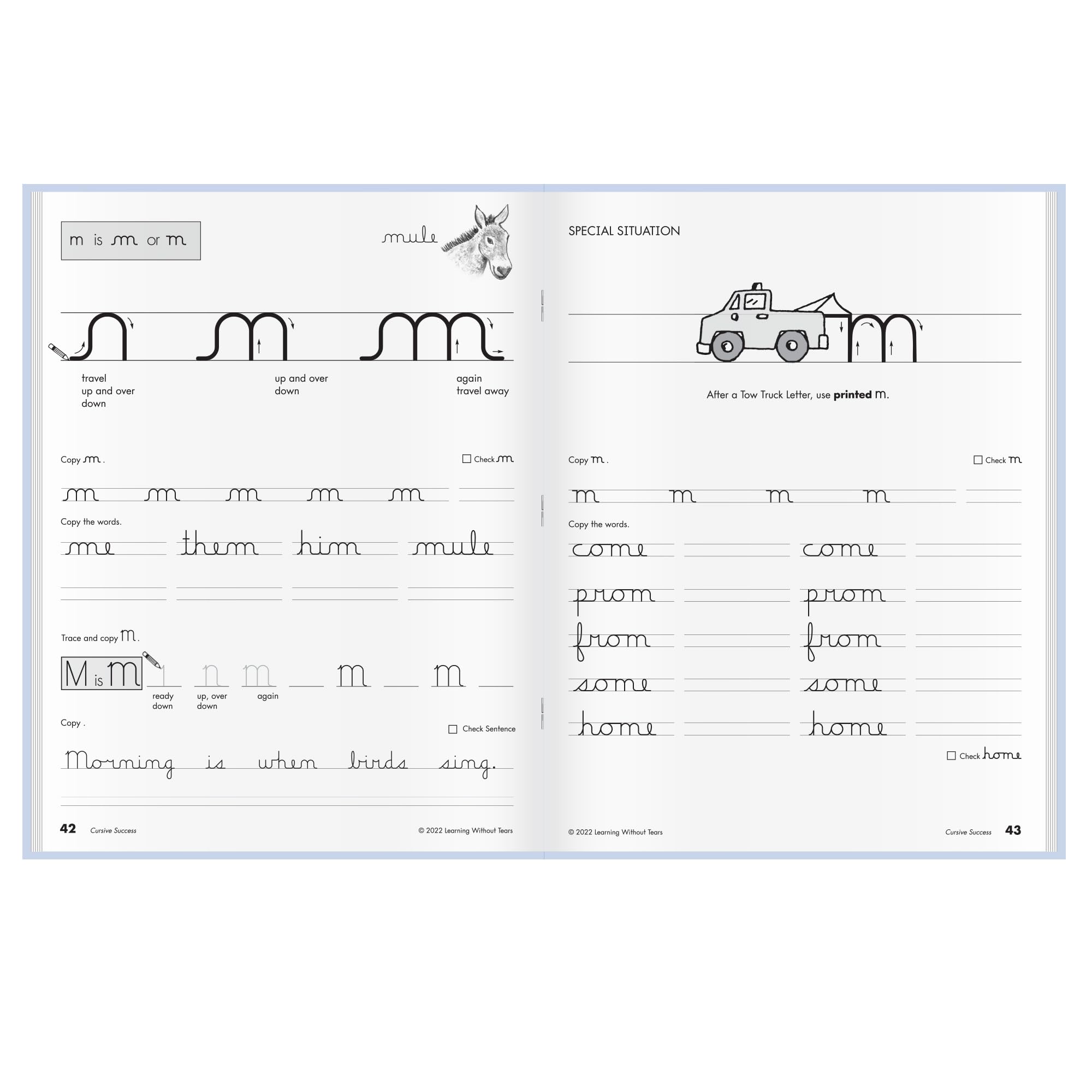 Learning Without Tears Cursive Success, Student Workbook, Age 9+, 4th Grade+, Handwriting Practice, Writing Book, School & Home, Language Arts, Tutoring