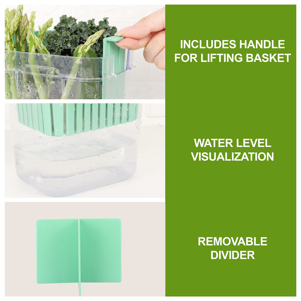 LAWNFUL 2 Pack Fresh Herb Keeper for Refrigerator, Clear Herb Saver, Storage Container for Cilantro, Parsley, Thyme, Mint & Asparagus, Preserver Keeps Fresh Herbs for 3 Times Longer, Green & Blue