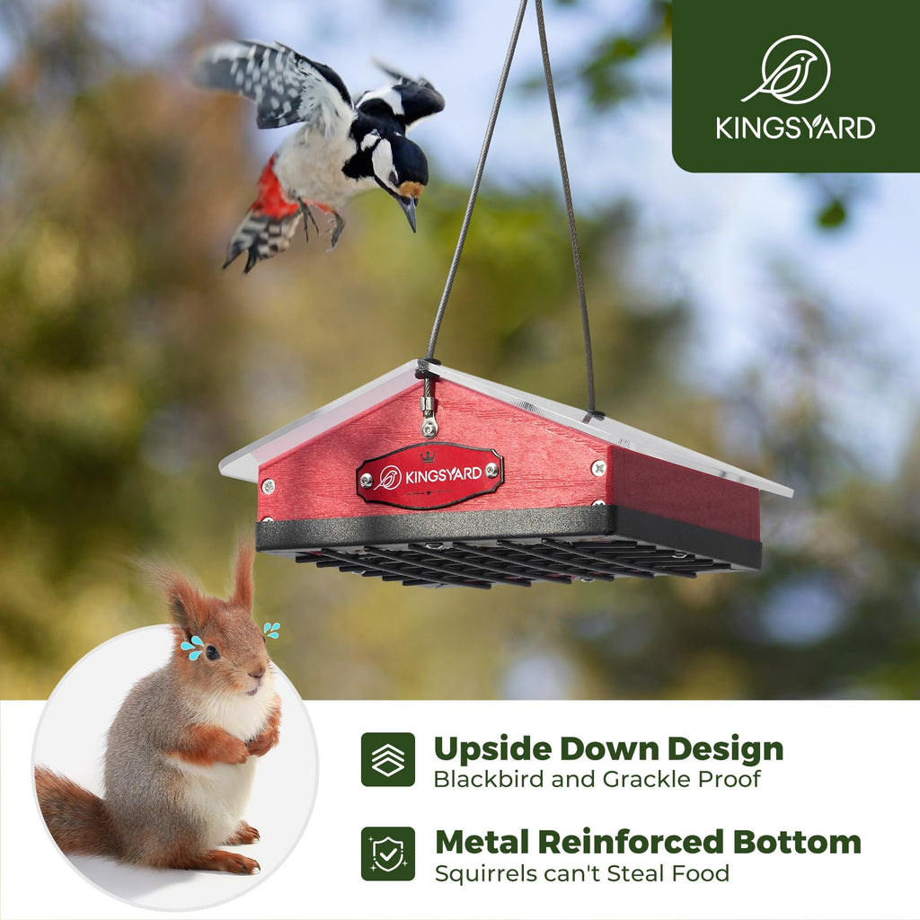 Kingsyard Upgraded Upside Down Suet Feeder for Outside Hanging - Recycled Plastic Wild Bird Feeder with Rainproof Roof for Attracting Woodpeckers Nuthatches Chickadees Finches. Red