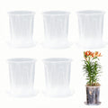 5 Pack Clear Plastic Orchid Pots with Holes and Saucers for Plants,5.5 x 6.5 in Thickened Transparent Pot,Breathable Slotted Orchids Planter Hard Flower Pots Nursery Pots, Houseplant