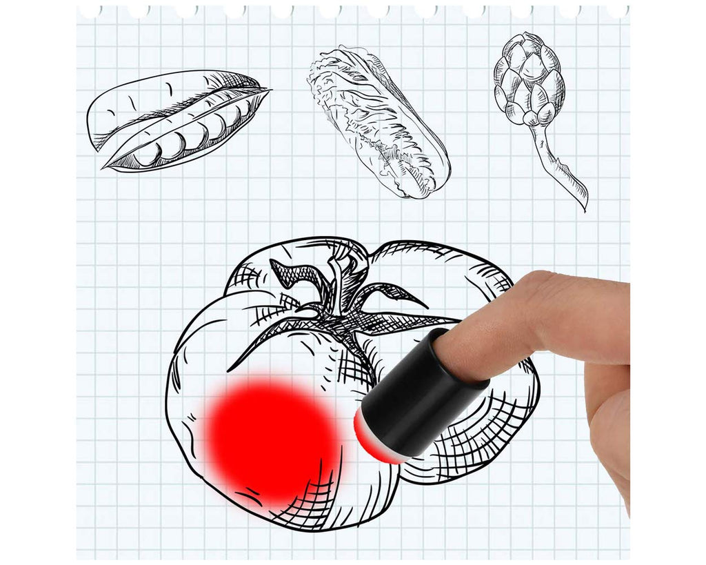 DS. DISTINCTIVE STYLE 40 Pieces Finger Sponge Dauber with Storage Case Craft Daubers for Chalk Ink Painting Card Making
