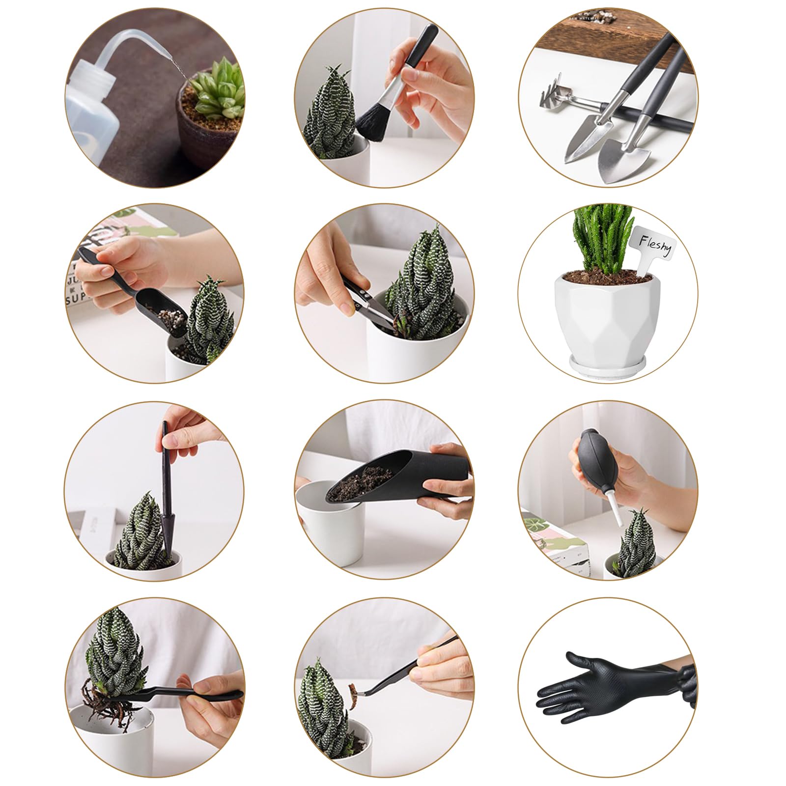 Melphoe Puppy’s Mom 12 Pieces Mini Garden Hand Transplanting Succulent Tools Miniature Planting, Set for Indoor Fairy Care, Potting, Cactus, Houseplant, Bonsai Tools, Bonsai Kit (Black)
