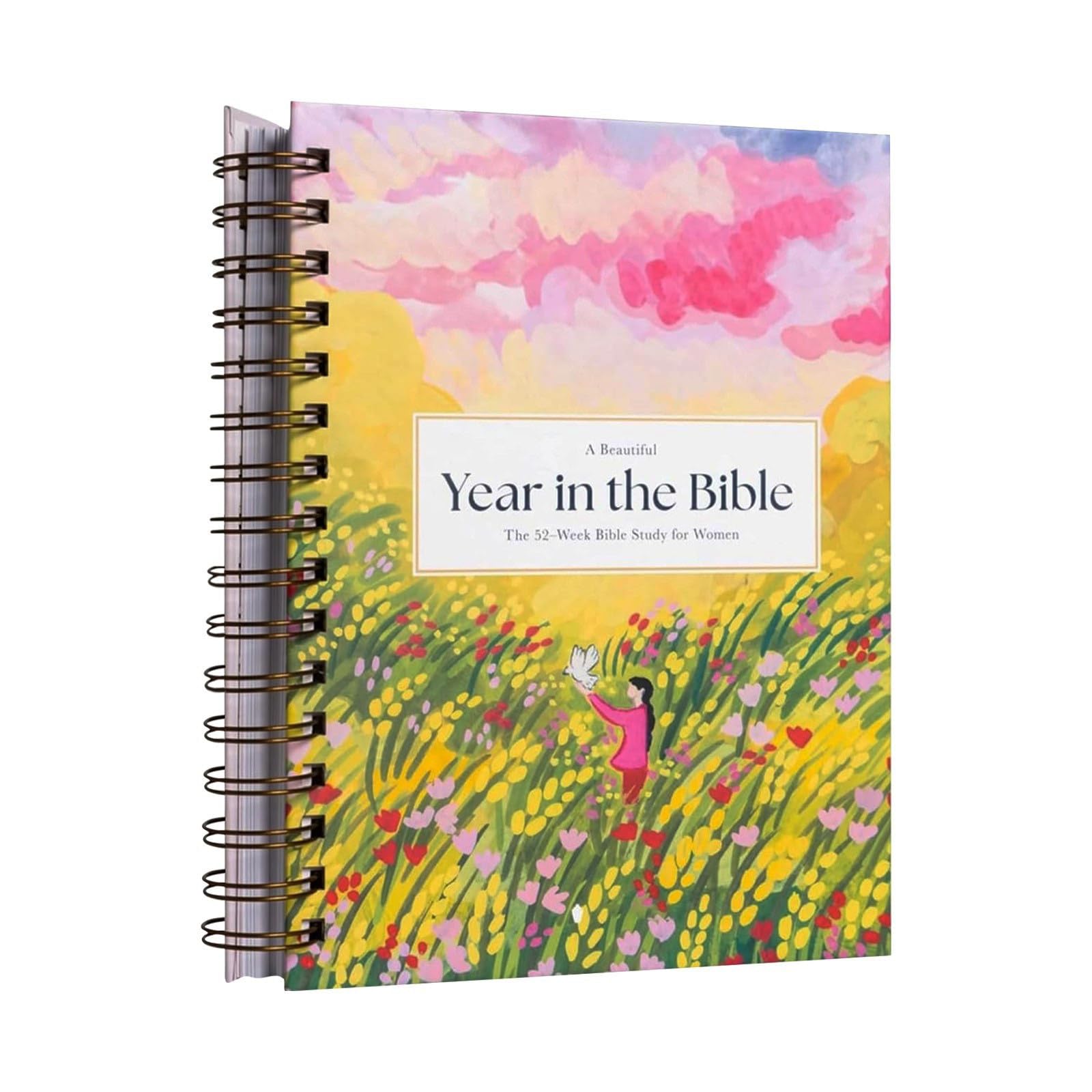 A Beautiful Year In The Bible, Biblical Accessories Women Study Guide, 52 Week Biblia Study For Women Christian Growth Enlightenment Bible's For Study Bibles Notebook