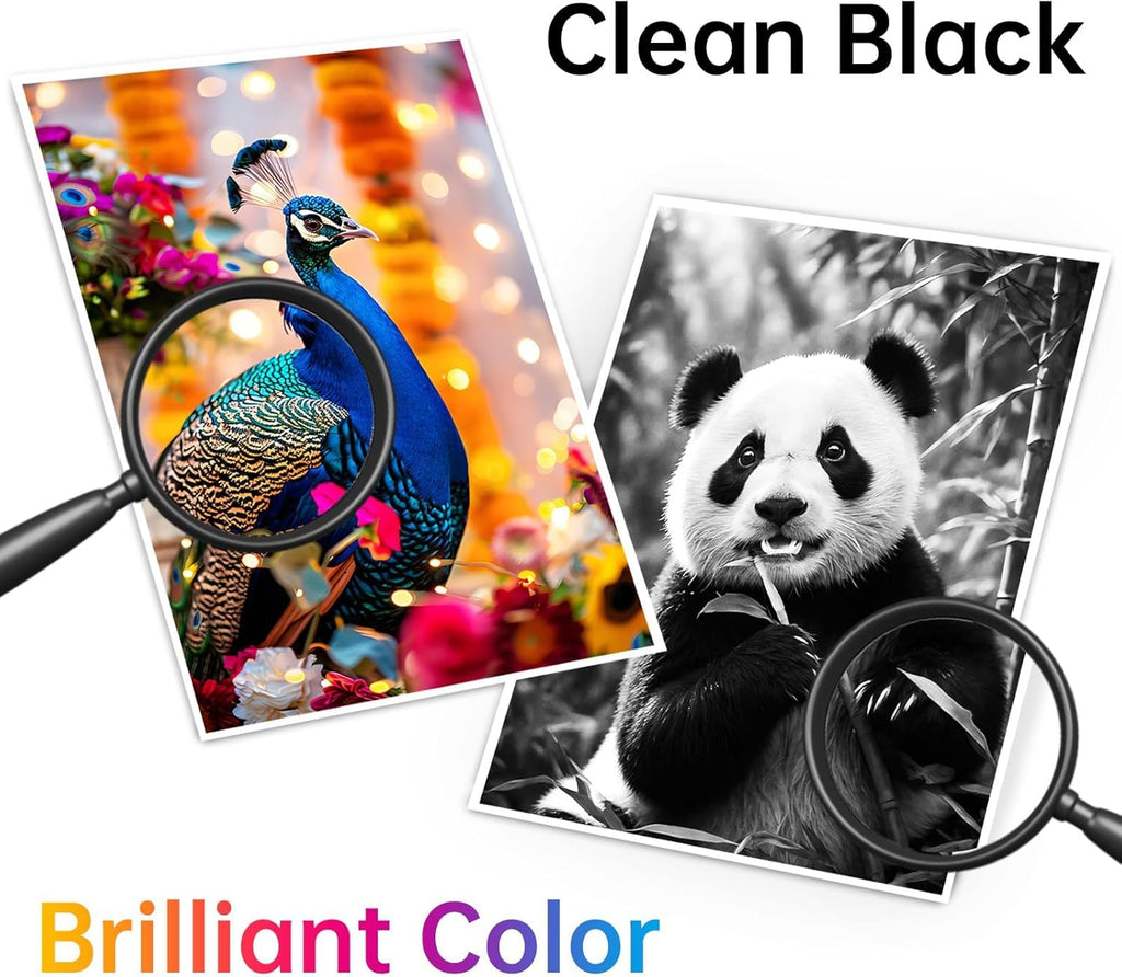 DNART 67XL Ink Cartridges Black/Color Combo Pack Compatible for HP 67 Ink Cartridges Work for Deskjet 2827e 4155e Envy 6455e 6055e 6000 2855e 4255e 2842e 4255e Printer