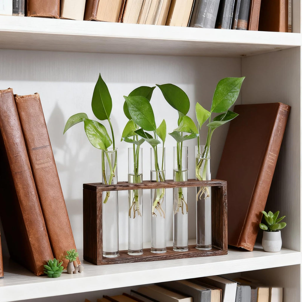 Jucoan Glass Planter Propagation Station, Wall Hanging Plant Terrarium with Wooden Stand, Glass Test Tube Flowers Bud Vase for Hydroponic Plants, Home Office Decor (5 Test Tubes &1 Brush)
