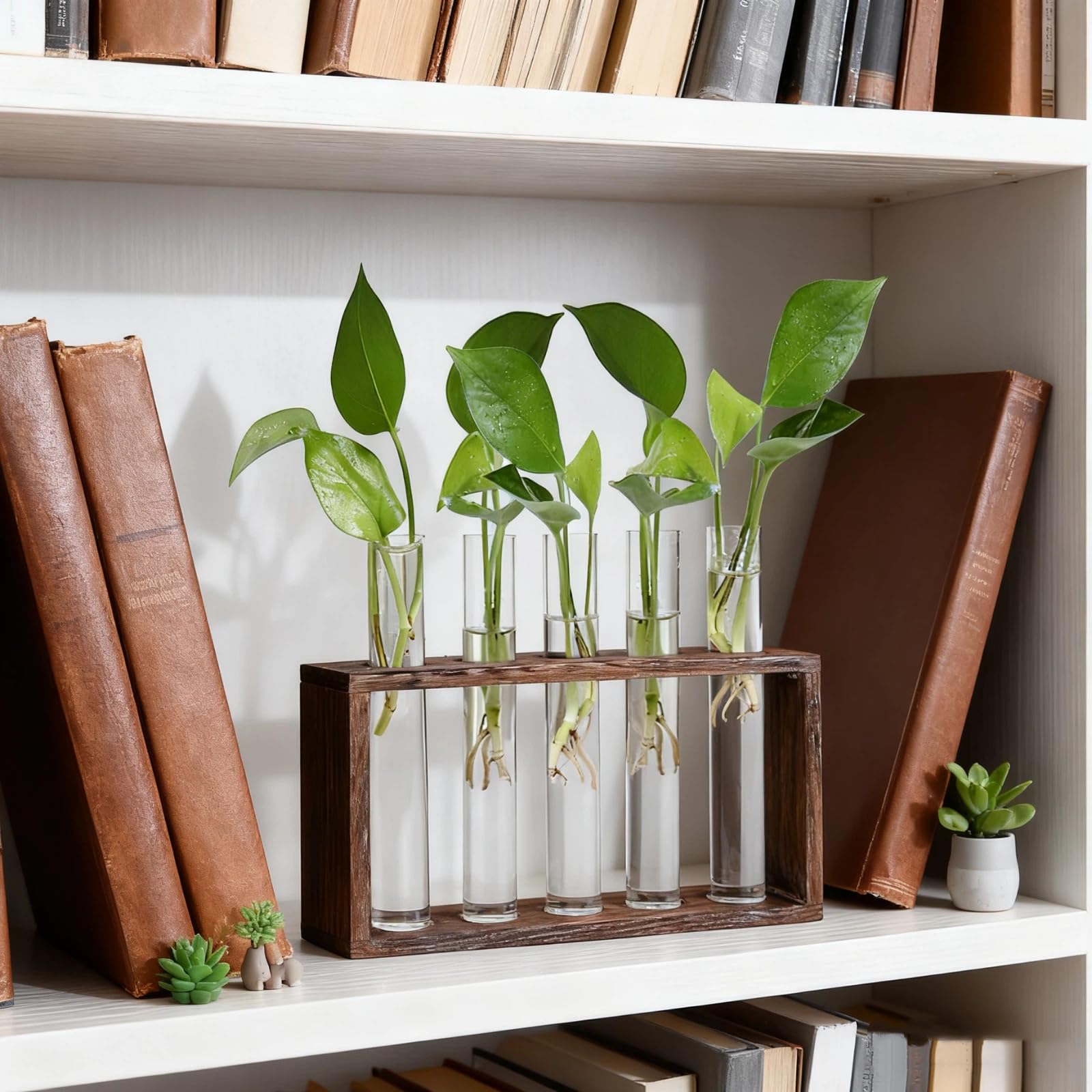 Jucoan Glass Planter Propagation Station, Wall Hanging Plant Terrarium with Wooden Stand, Glass Test Tube Flowers Bud Vase for Hydroponic Plants, Home Office Decor (5 Test Tubes &1 Brush)