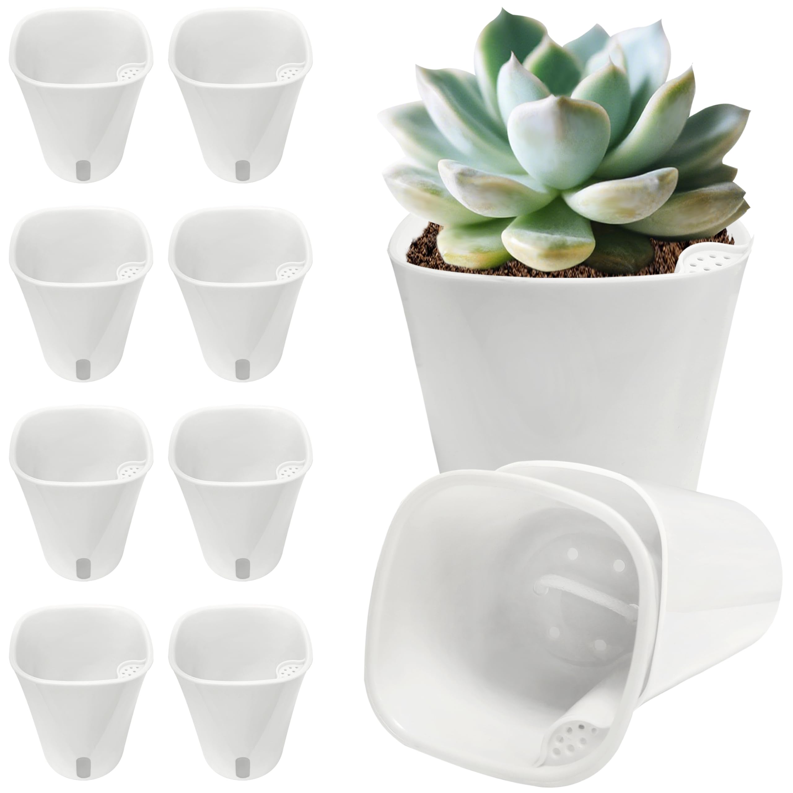 10 Pack 3 inch Self Watering Pots for Indoor Plants, Small Self Watering Plant Pots with Water Level Indicator and Multiple Vents, Self Watering Planters for Indoor Plants, Orchid, Succulent, Herbs