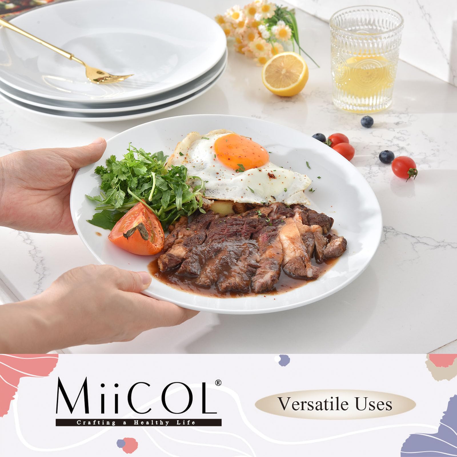 Miicol Ceramic Dinner Plates Set of 4, Large Salad Plate 10.5 inch / 27 cm, White Flat Dish, Porcelain Serving Dishes for Pasta, Steak, Dessert, Microwave and Dishwasher Safe, Scratch Resistant