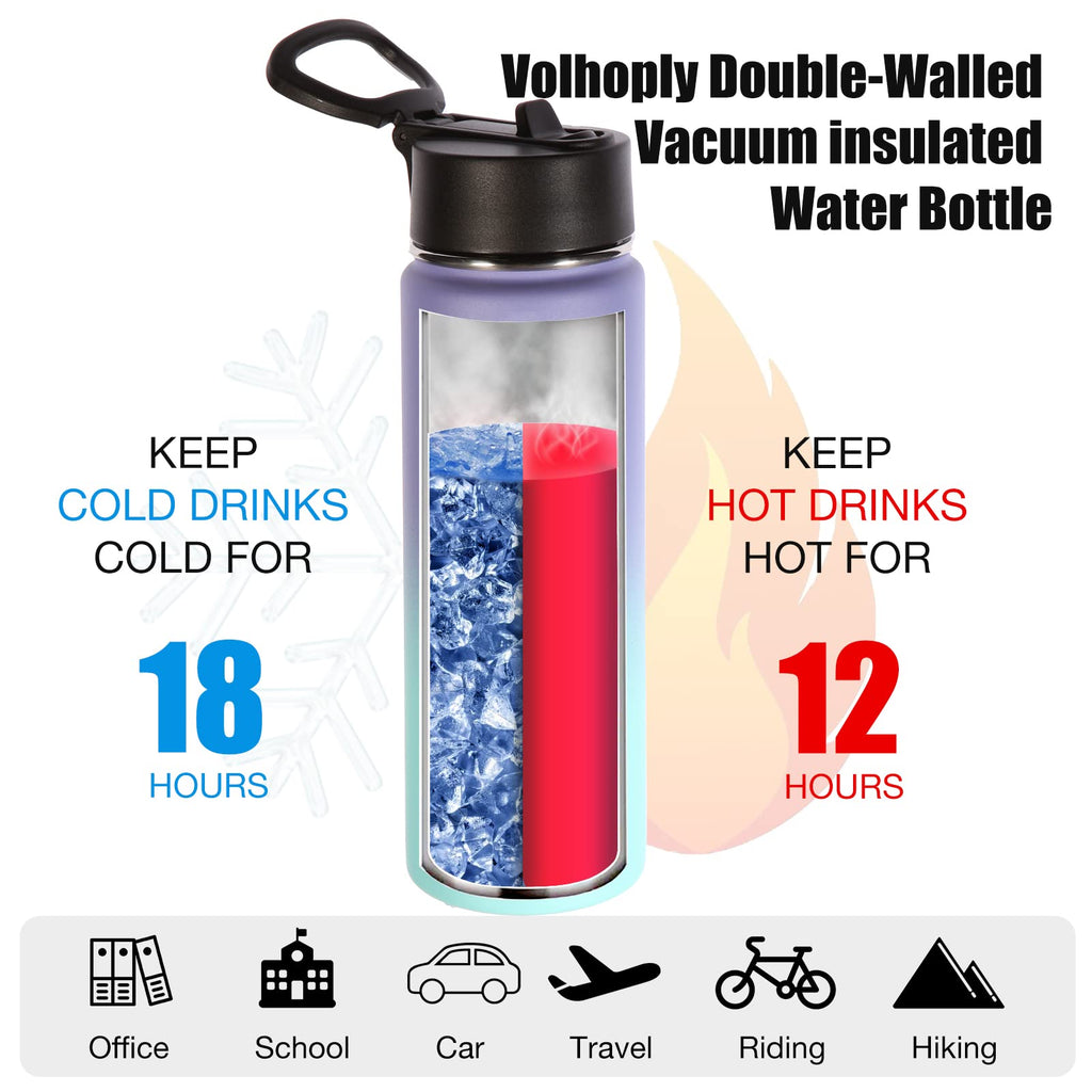Volhoply Insulated Water Bottles with Straw Bulk 2 Pack, 22 oz Stainless Steel Sports Bottle with Handle Lid,Double Walled Metal Water Cups with Wide Mouth,Reusable Cold Water Flask(Assorted,2 Set)