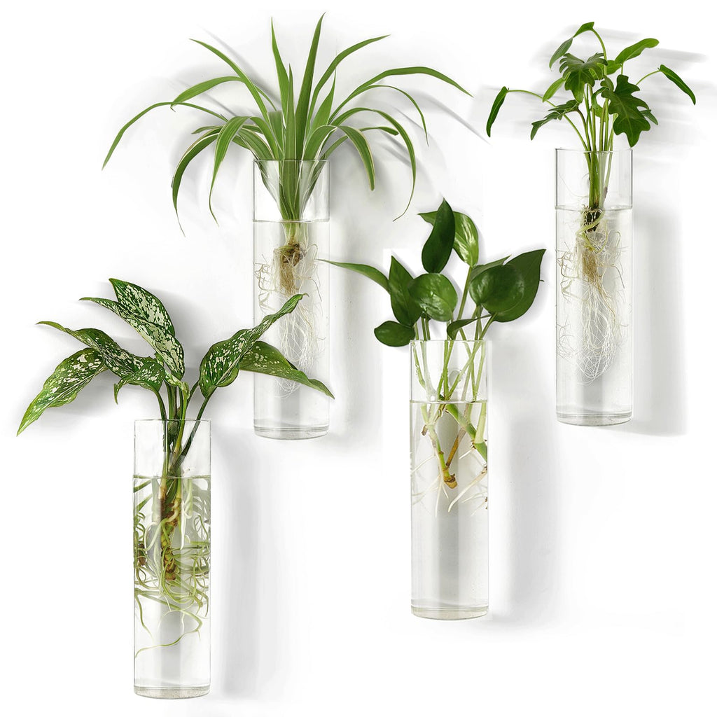 Mkono Propagation Stations Wall Hanging Glass Terrariums Tubes Planter Cylinder Flower Vase for Hydroponic Plants, Bathroom Home Office Living Room Decor, Set of 4