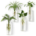Mkono Propagation Stations Wall Hanging Glass Terrariums Tubes Planter Cylinder Flower Vase for Hydroponic Plants, Bathroom Home Office Living Room Decor, Set of 4