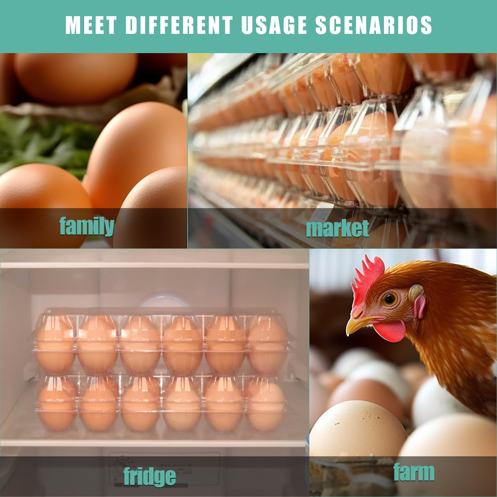60 Packs Egg cartons cheap bulk，Plastic Egg Carton for 12 Eggs， Clear Egg Carton 2 * 6 Grids，Perfect for Refrigerator Chicken Farm Markets Commercial Business Market Display, Large